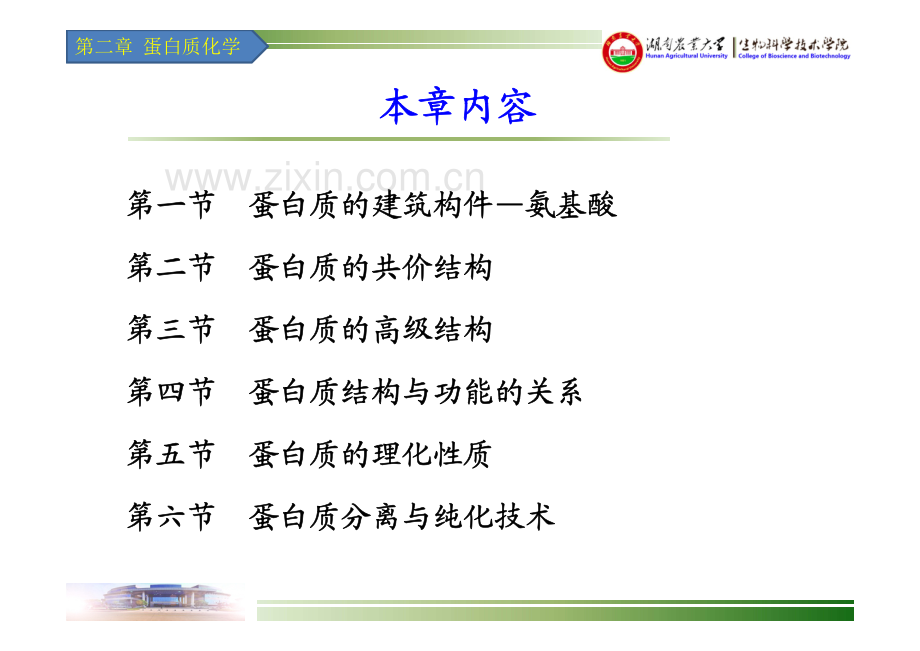 湖南农业大学生物化学-03-蛋白质化学-04蛋白质结构与功能的关系.pdf_第2页