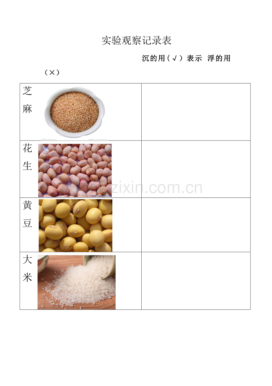 实验观察记录表（中一）.docx_第1页