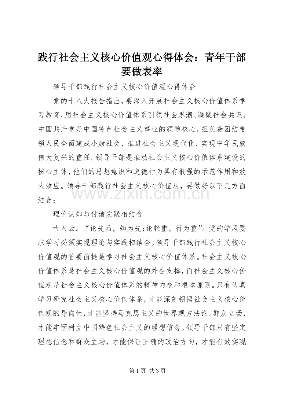 践行社会主义核心价值观体会心得：青年干部要做表率.docx_第1页