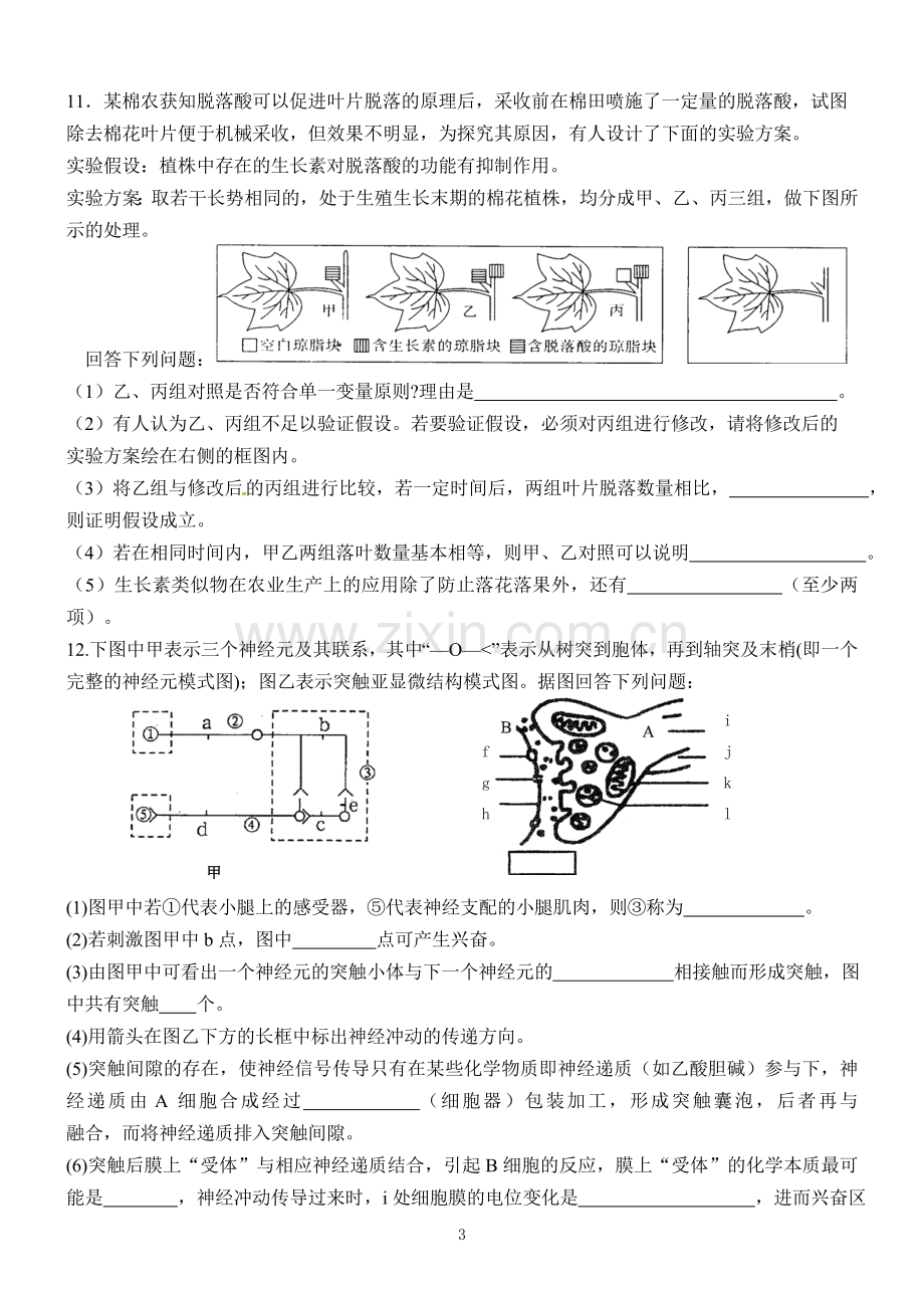 高一生物模拟试卷六.doc_第3页