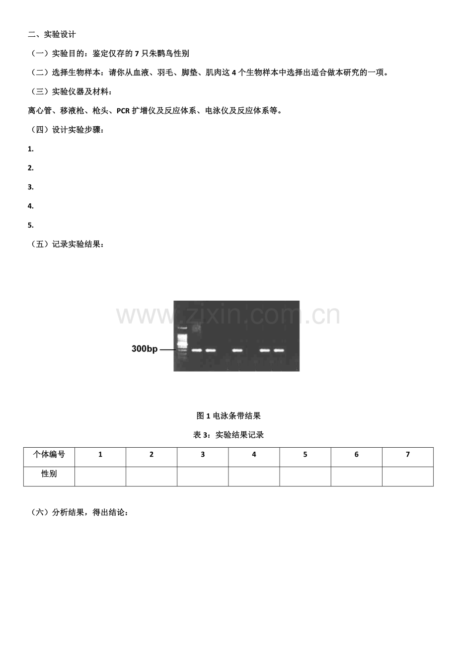 【实验】DNA片段的扩增和琼脂糖凝胶电泳检测.docx_第2页