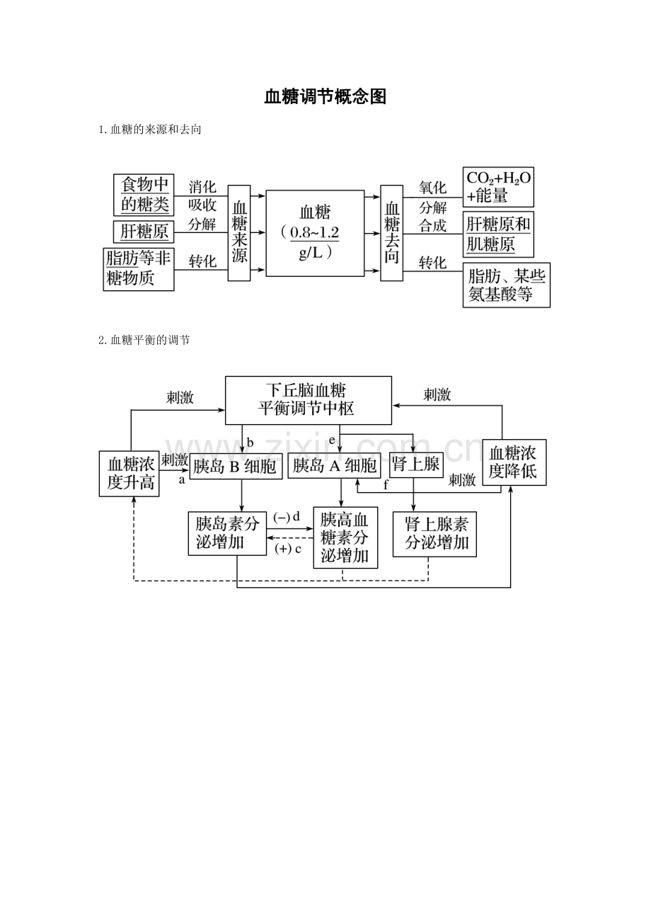 血糖调节概念图.docx_第1页