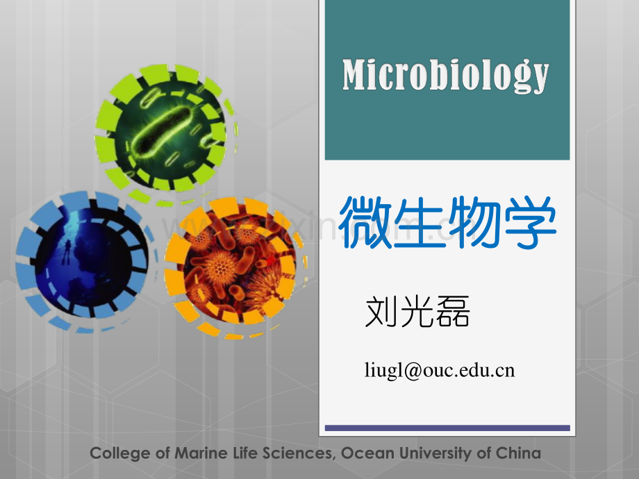 微生物菌种的筛选与保藏.pdf_第1页