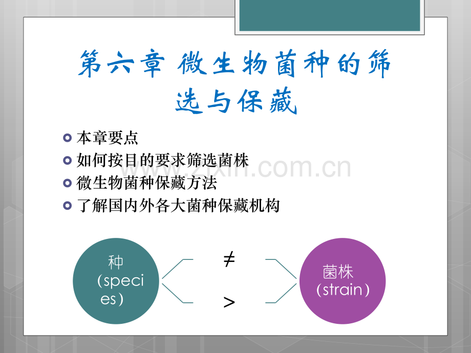 微生物菌种的筛选与保藏.pdf_第2页