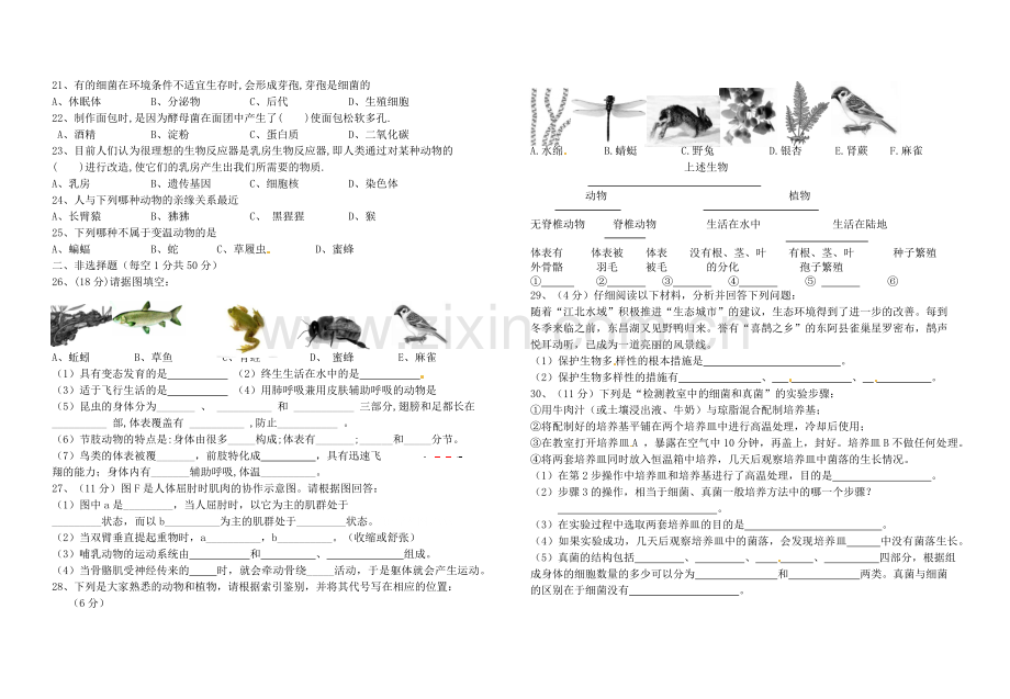 八年级上册期末测试题（四）.docx_第2页