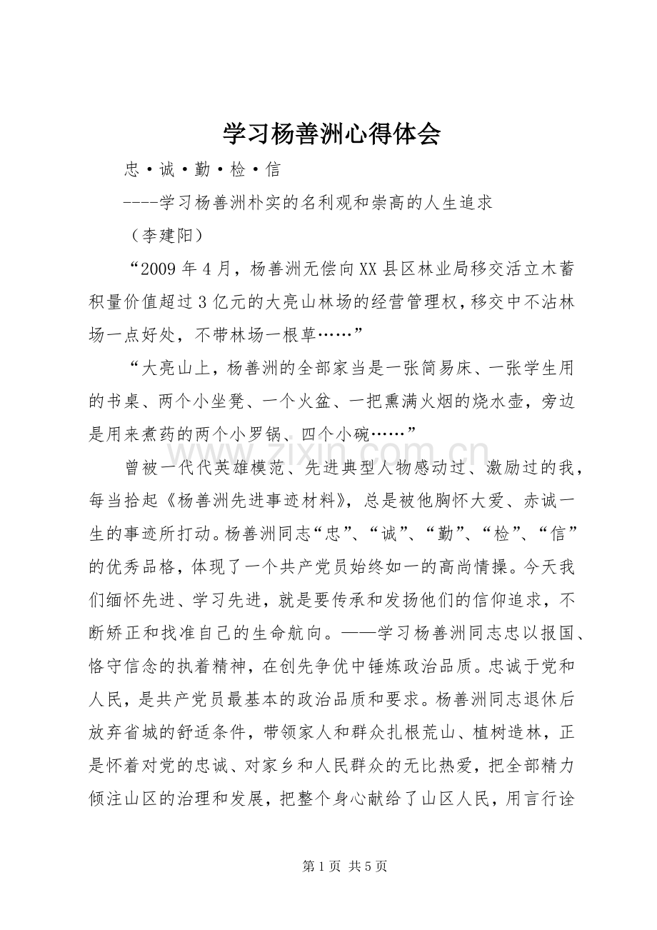 学习杨善洲体会心得.docx_第1页