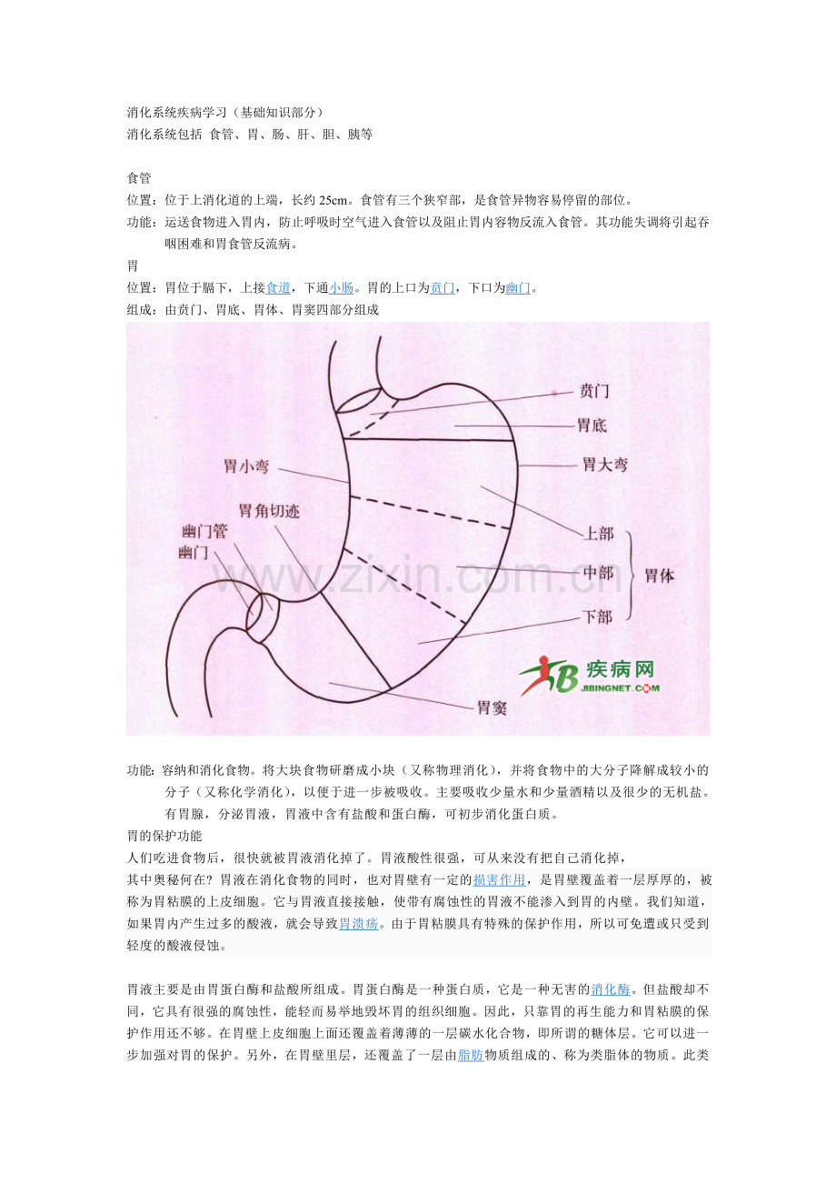 胃专业知识.doc_第1页