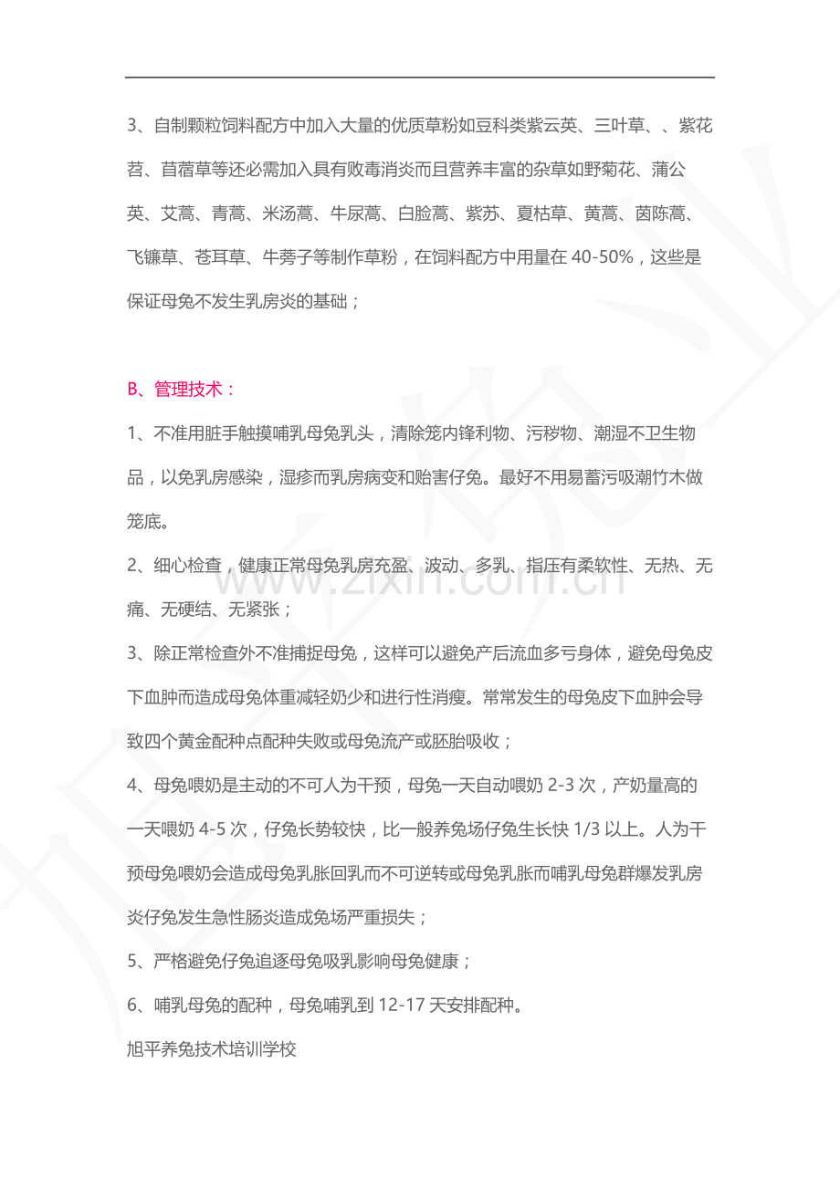 哺乳母兔的饲养管理经典.docx_第3页