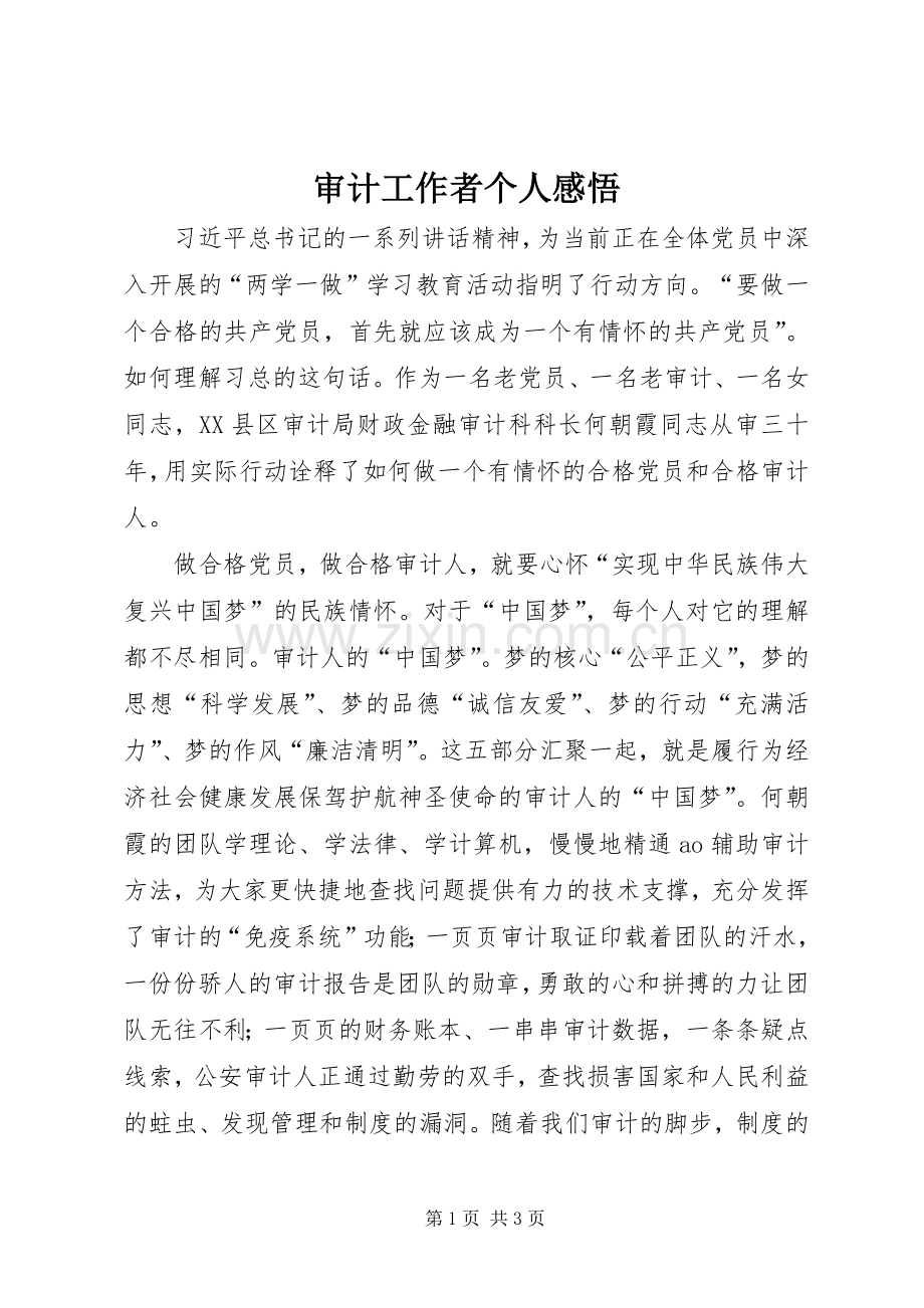 审计工作者个人感悟.docx_第1页