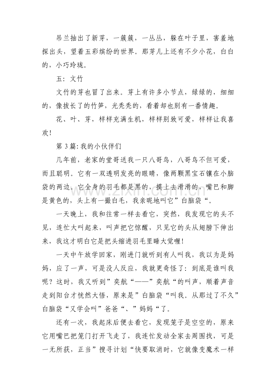 我的小伙伴们三篇.pdf_第3页