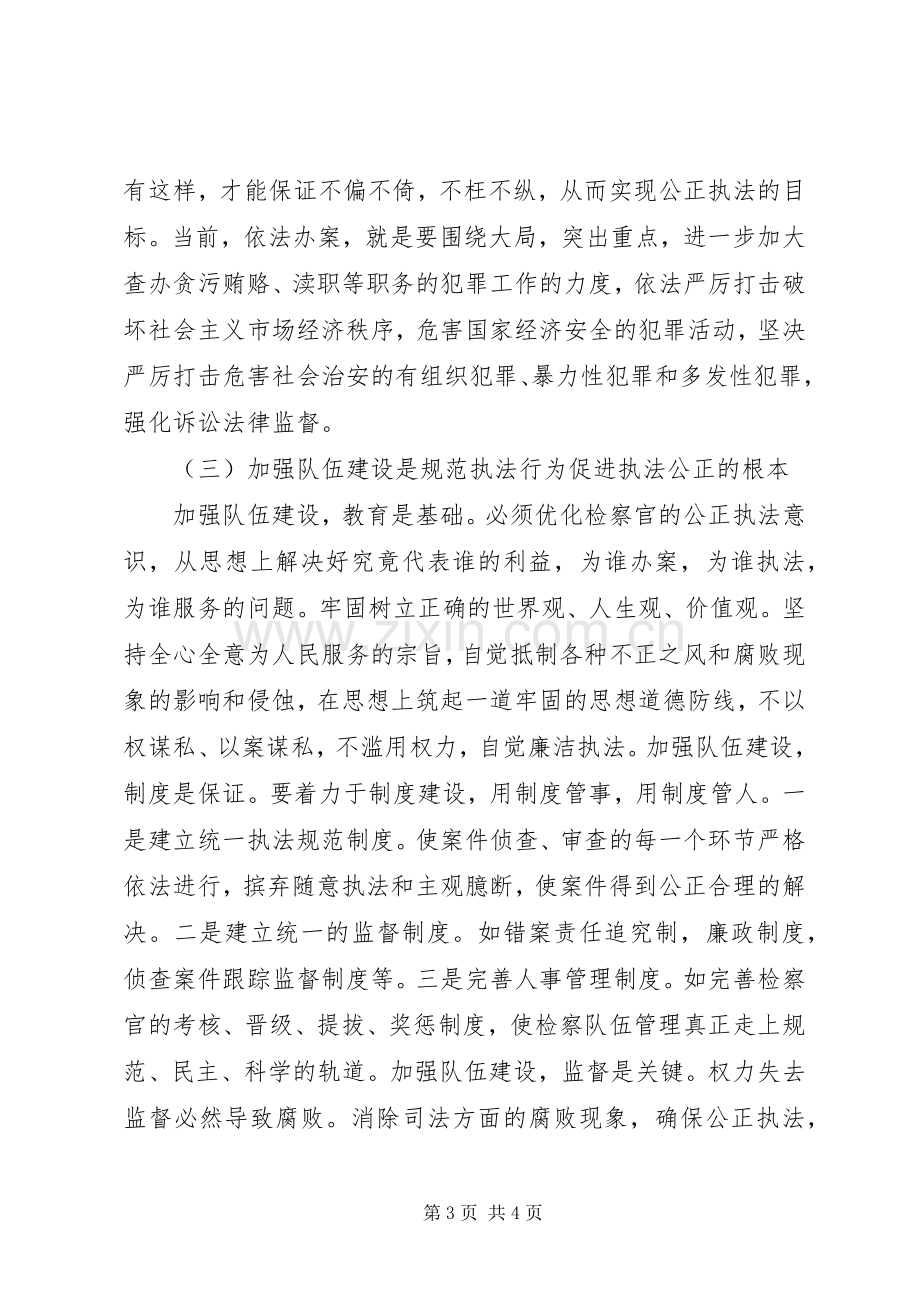 开展“规范执法行为促进执法公正”专项整改活动体会心得.docx_第3页