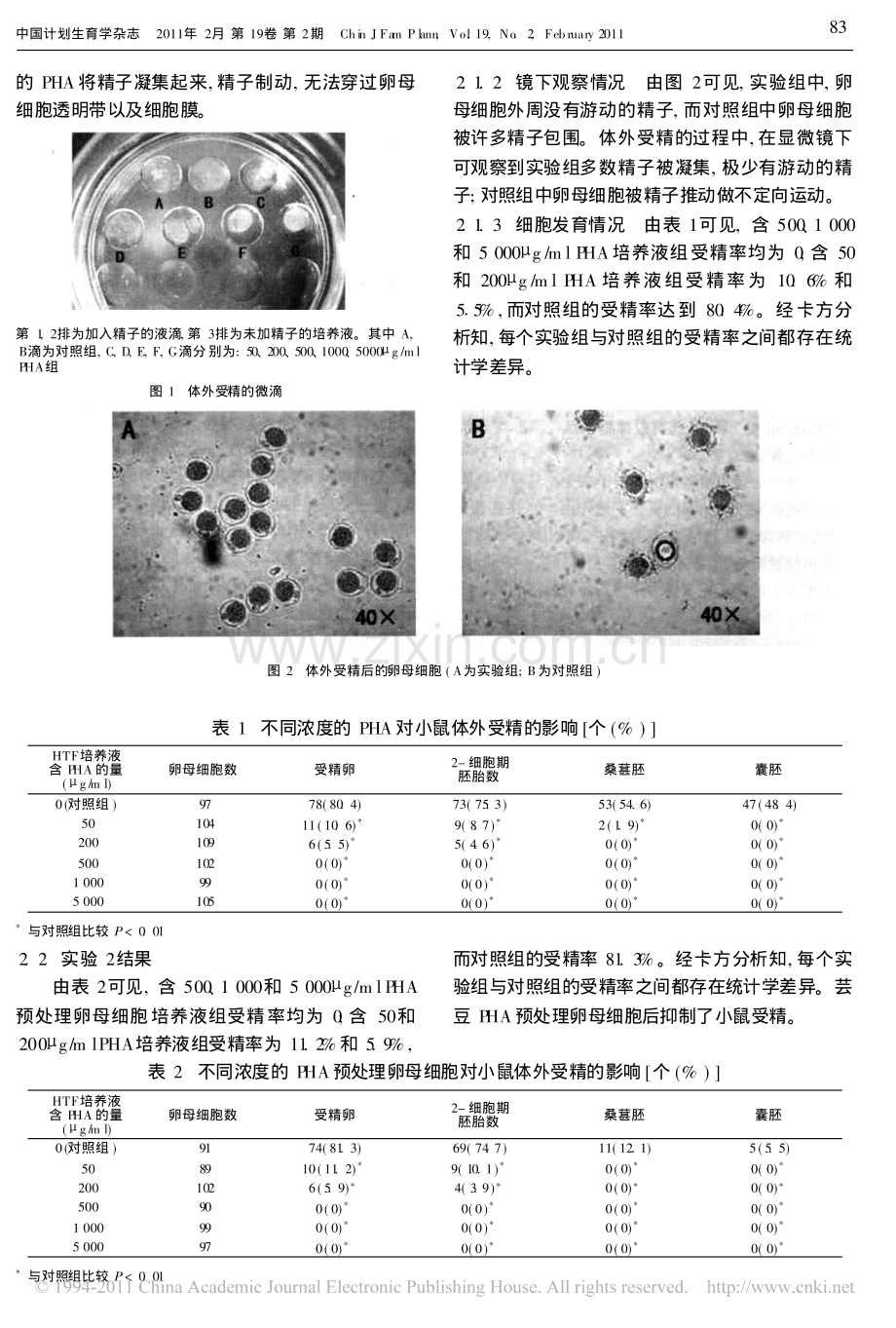 芸豆植物凝集素对小鼠体外受精的影响.pdf_第3页