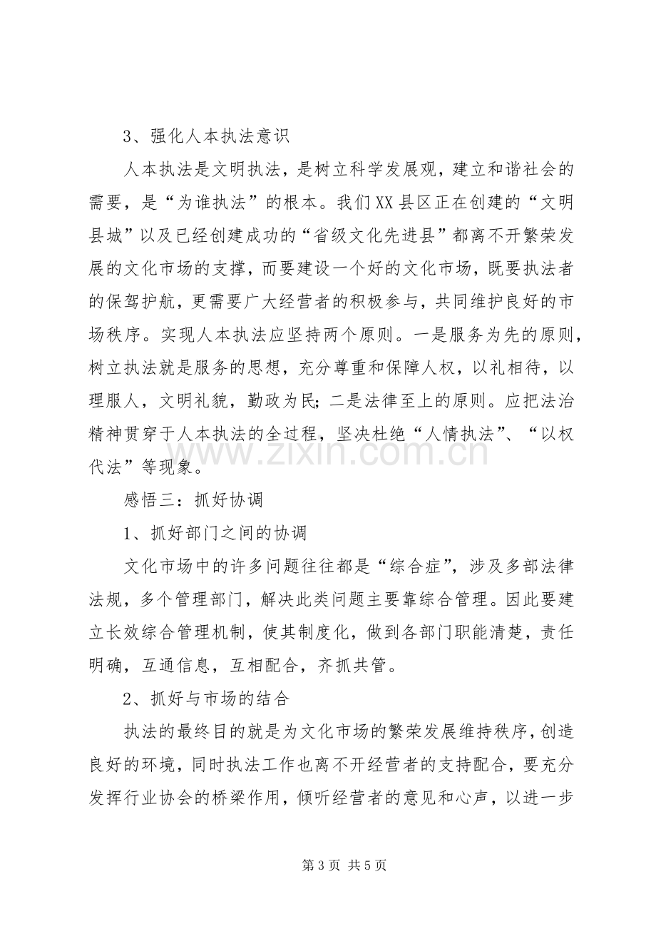 文化执法驻队交流学习体会.docx_第3页