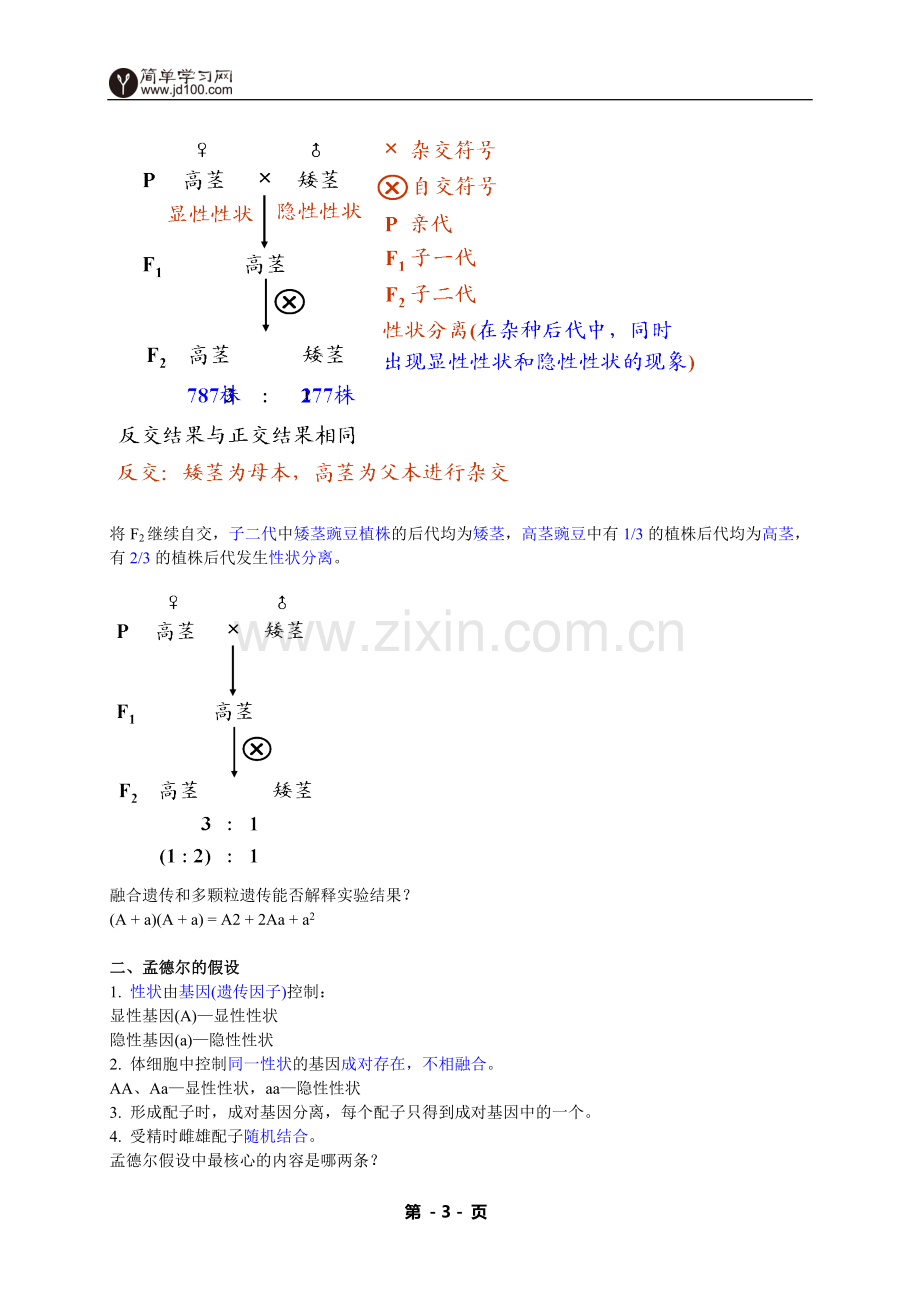 专题+孟德尔的豌豆杂交实验(一)--讲义.doc_第3页