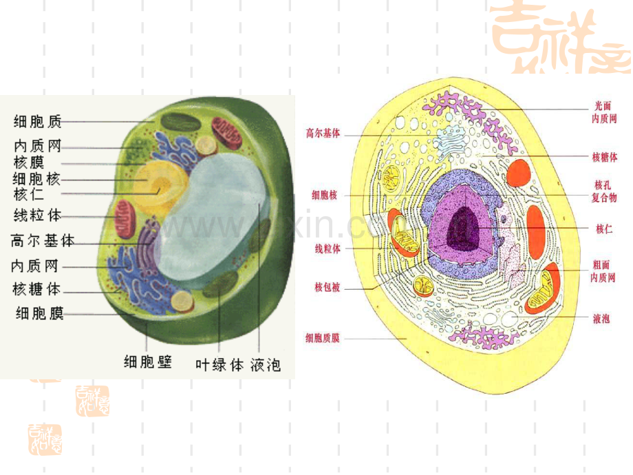 第一章 绪论.pdf_第3页