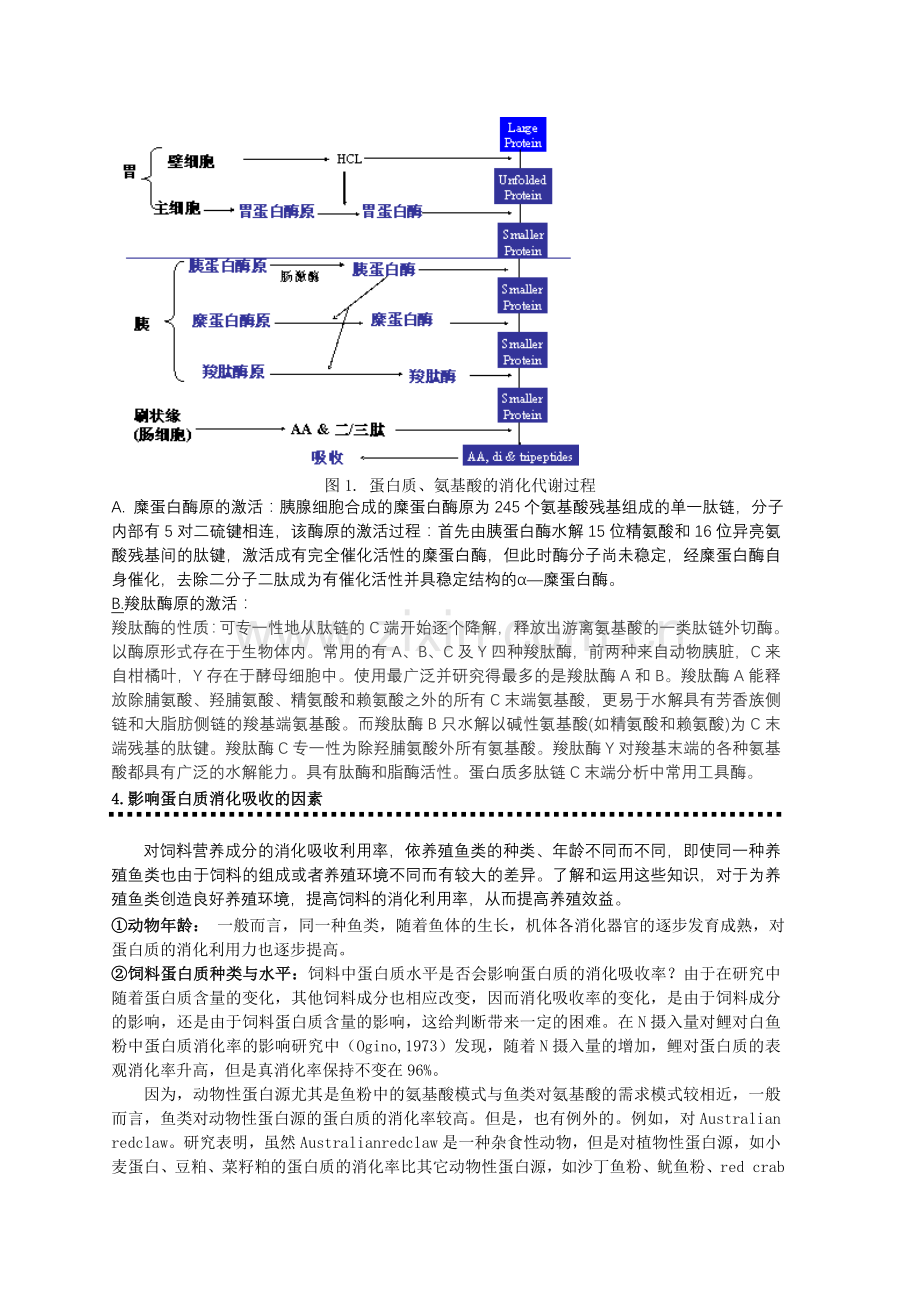 第三章鱼类营养学原理蛋白质营养影响蛋白质消化率因素.doc_第2页