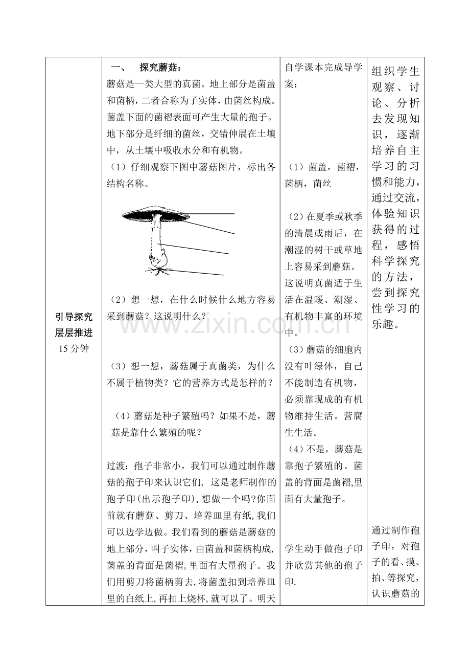 第三章第三节 真菌.doc_第3页