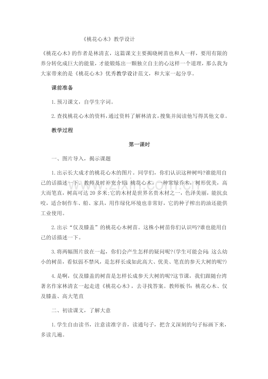 《桃花心木》教学设计.docx_第1页