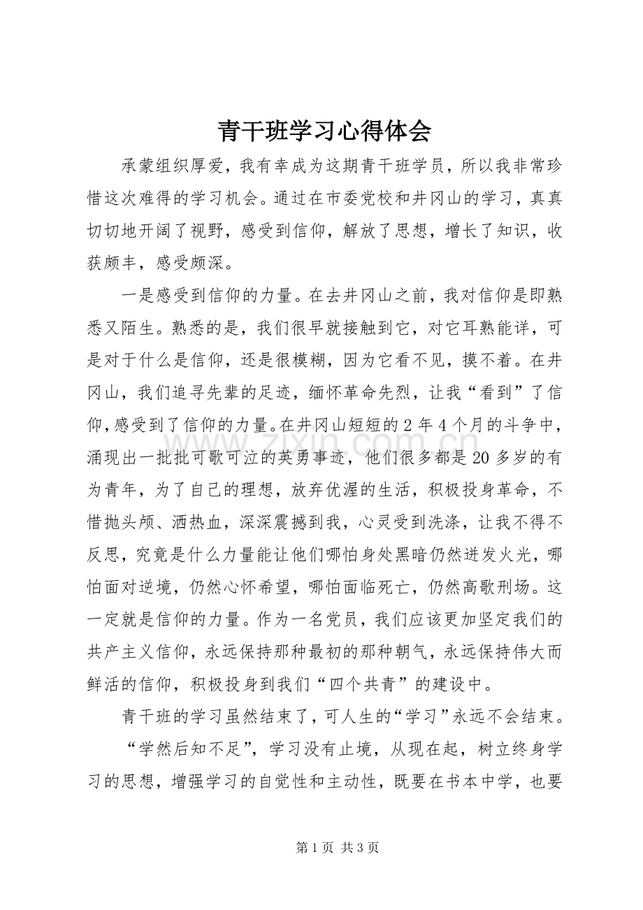 青干班学习体会心得.docx_第1页