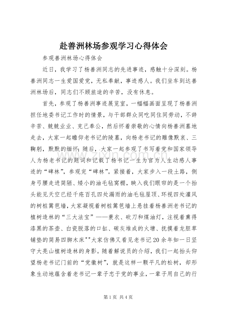 赴善洲林场参观学习体会心得.docx_第1页