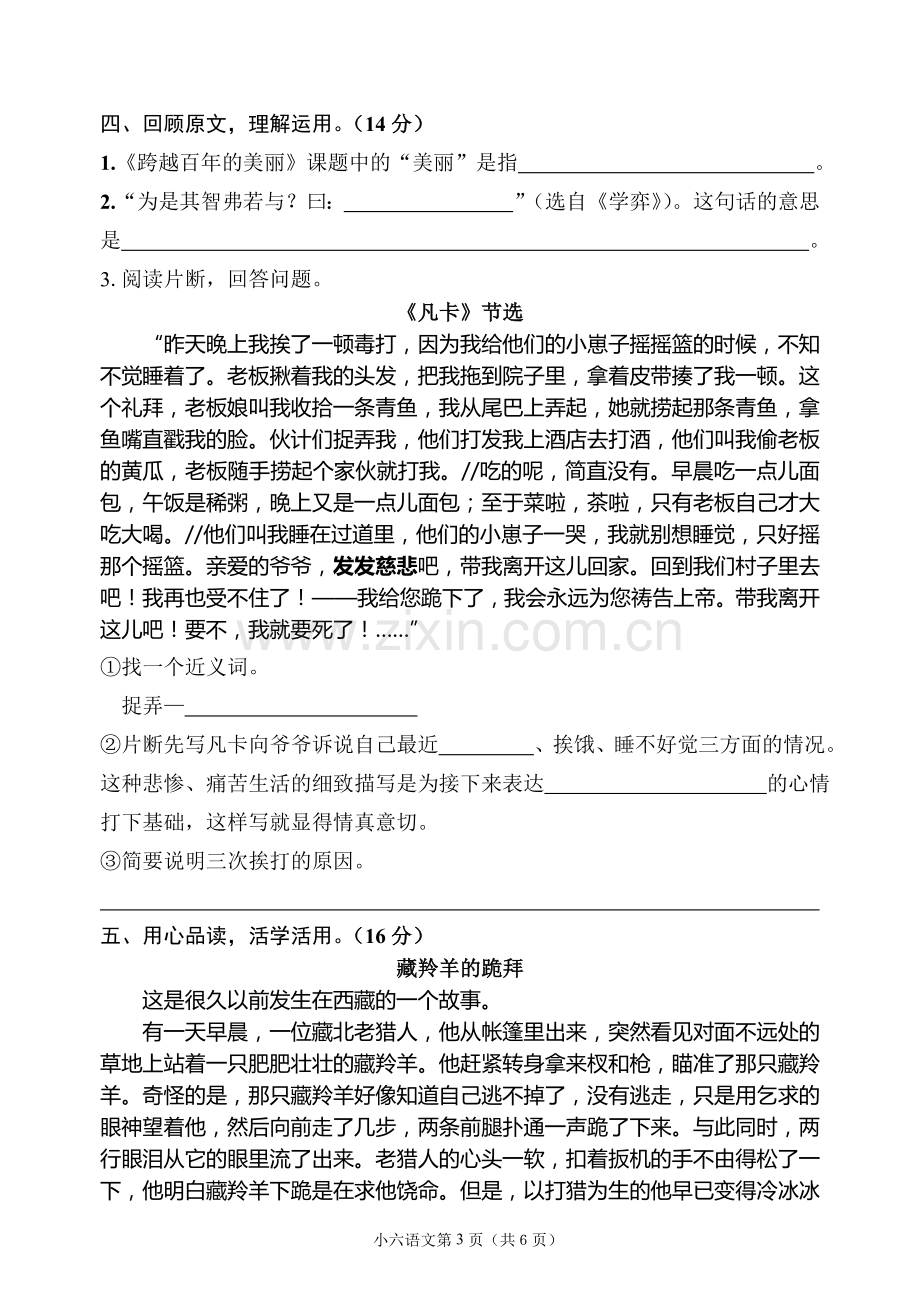 小学毕业班语文考试试卷.doc_第3页