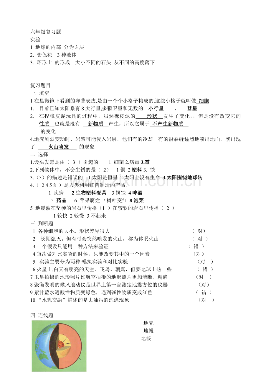 六年级复习题.doc_第1页