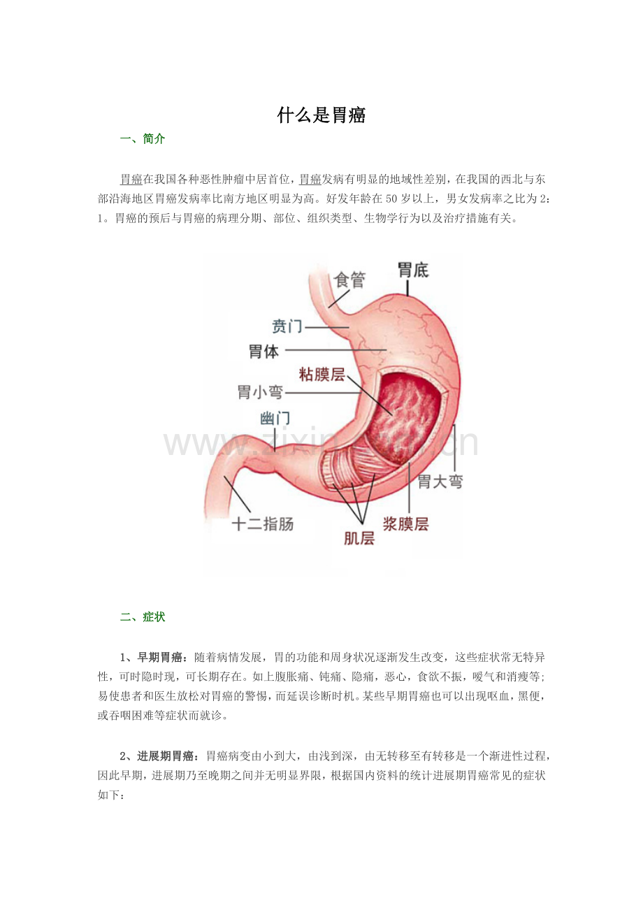 什么是胃癌.docx_第1页