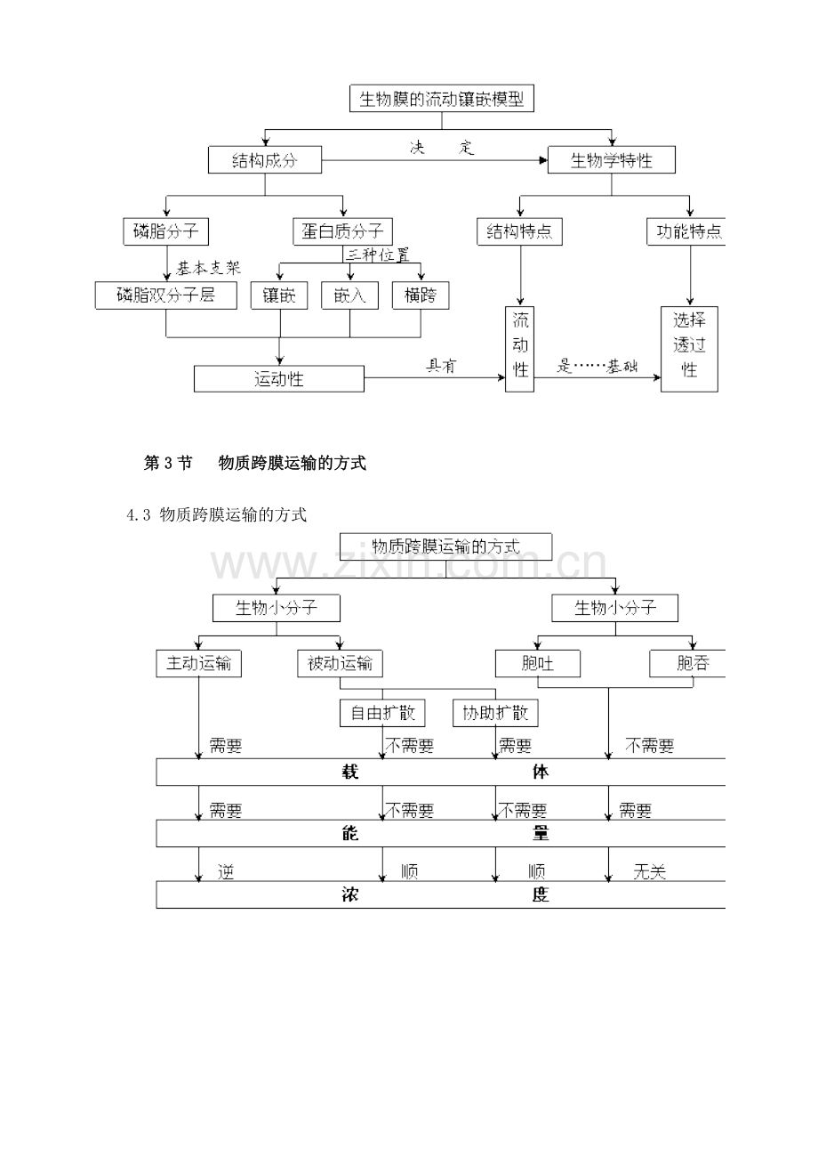 必修一第四章概念图.doc_第3页