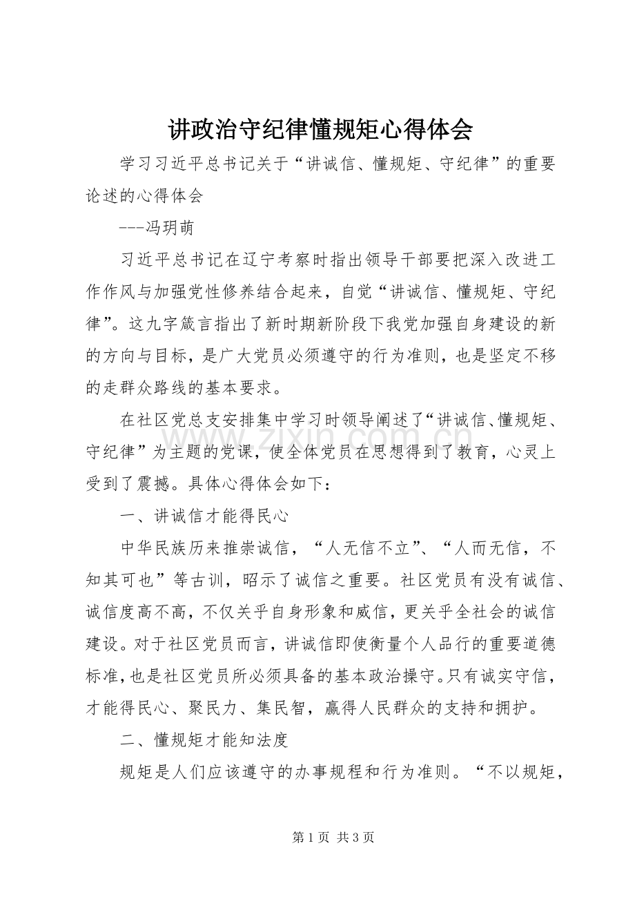 讲政治守纪律懂规矩体会心得.docx_第1页