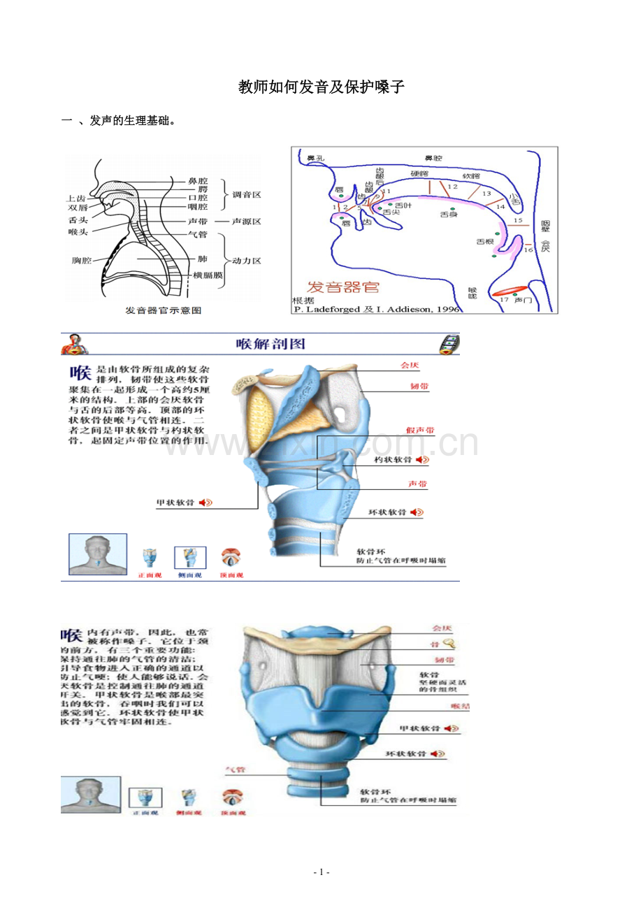 教师如何发音及保护嗓子.doc_第1页