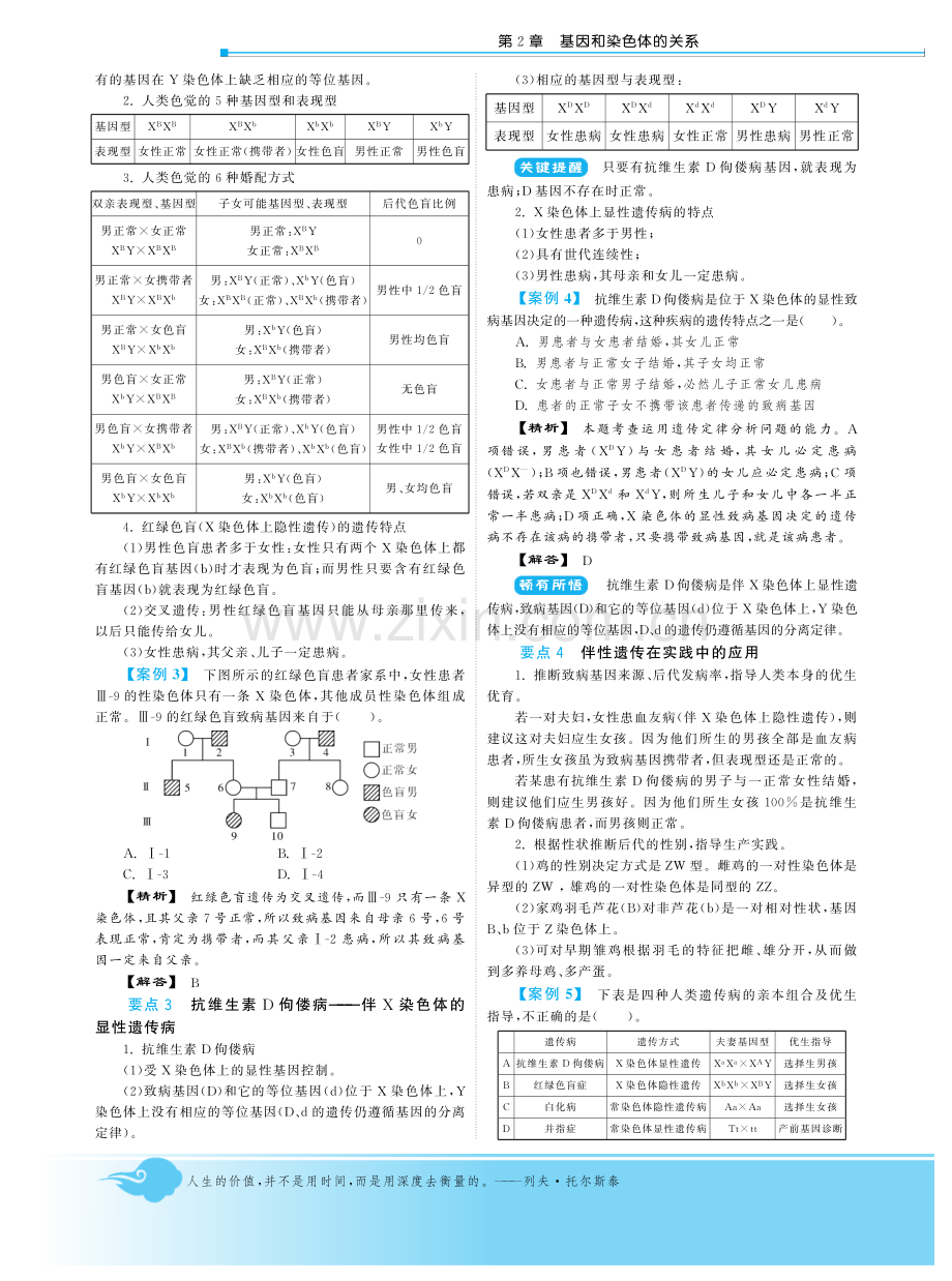 第2章第3节 伴性遗传·高中生物人教版必修2-深度解析PDF.pdf_第2页