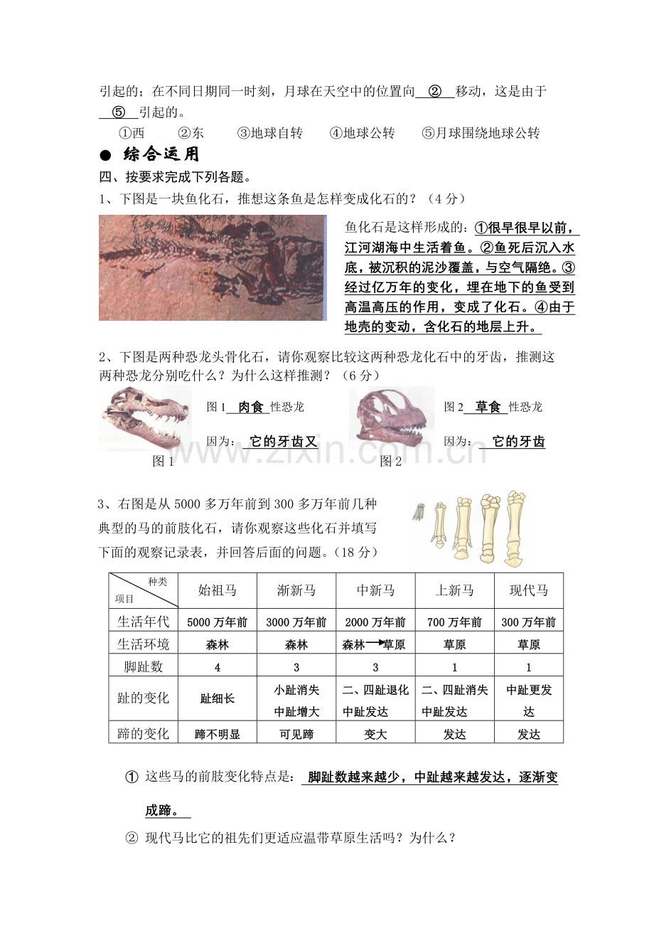 六年级下学期科学复习试题（一）.doc_第3页