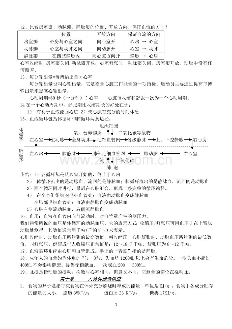 北师大版生物七年级下册复习提纲1.doc_第3页