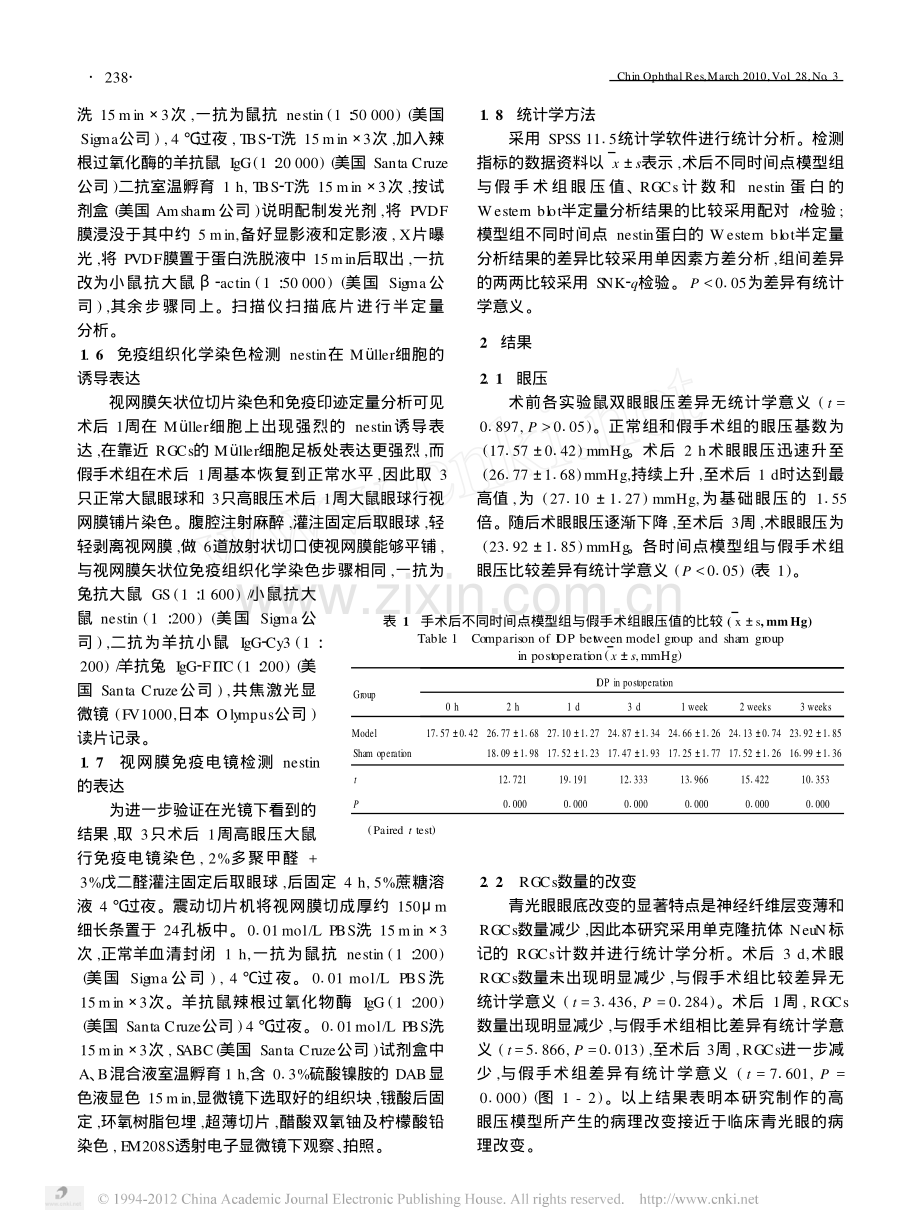 Nestin在高眼压大鼠视网膜神经胶质细胞中的表达.pdf_第3页