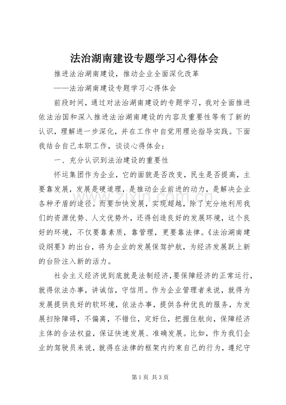 法治湖南建设专题学习体会心得.docx_第1页