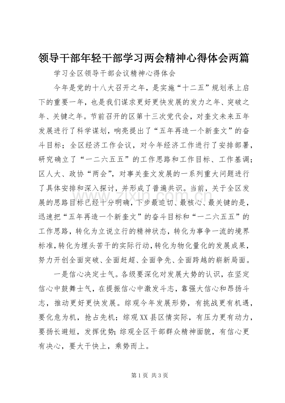 领导干部年轻干部学习两会精神体会心得两篇.docx_第1页