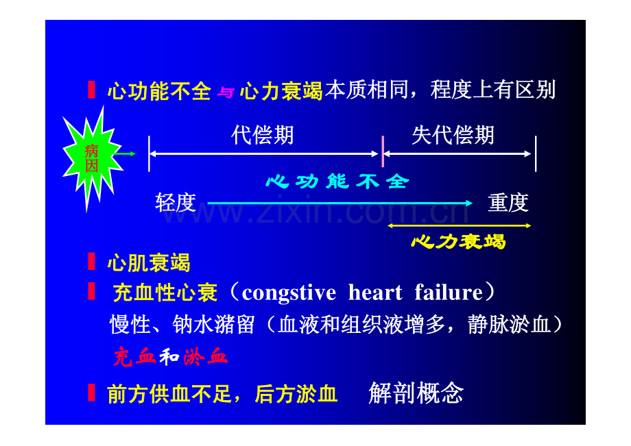 病理生理学 第十三章心力衰竭.pdf_第3页