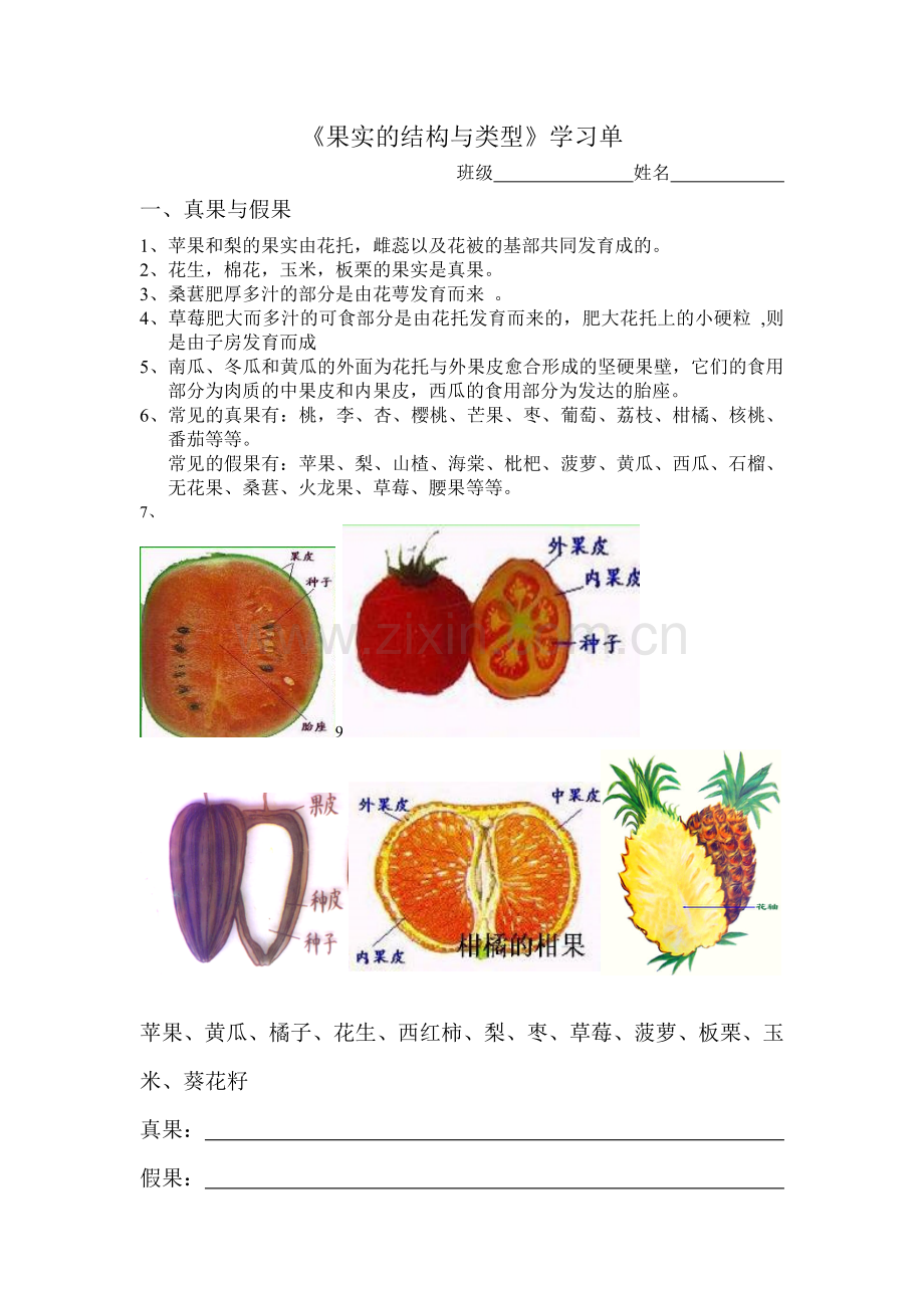 果实的结构与类型.doc_第1页