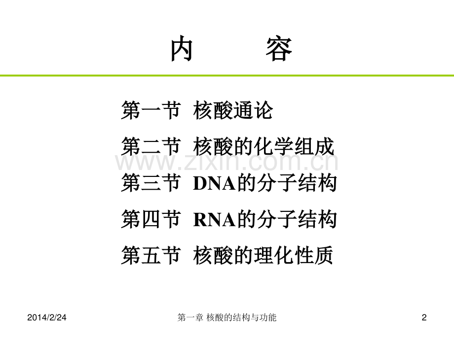 生物化学核酸的结构与功能.pdf_第2页