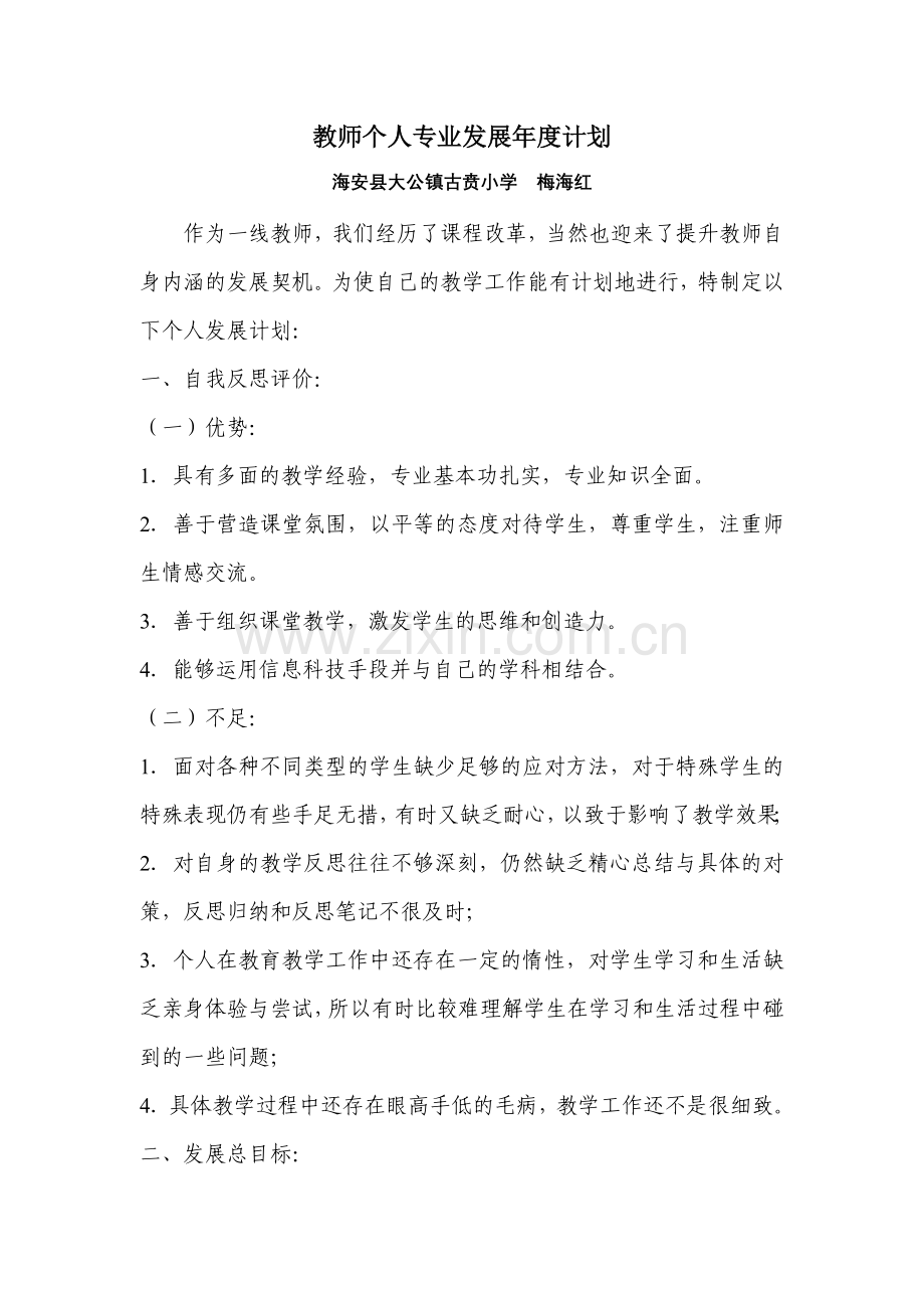 教师个人专业发展年度计划梅海红.doc_第1页