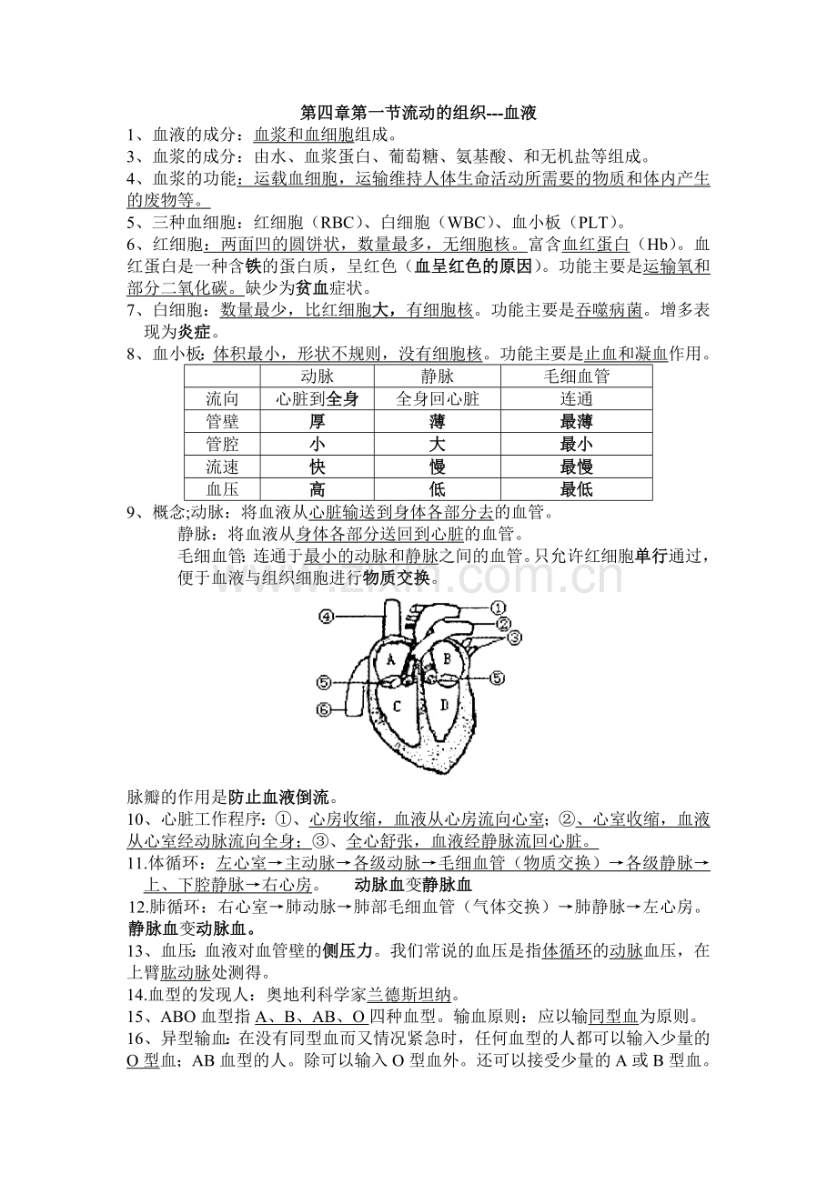 第三章第一节呼吸道对空气的处理.doc_第2页