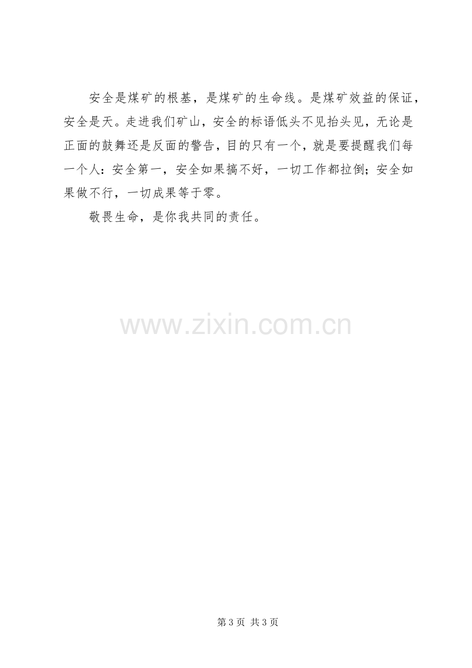 煤矿职工三个敬畏大讨论体会心得.docx_第3页