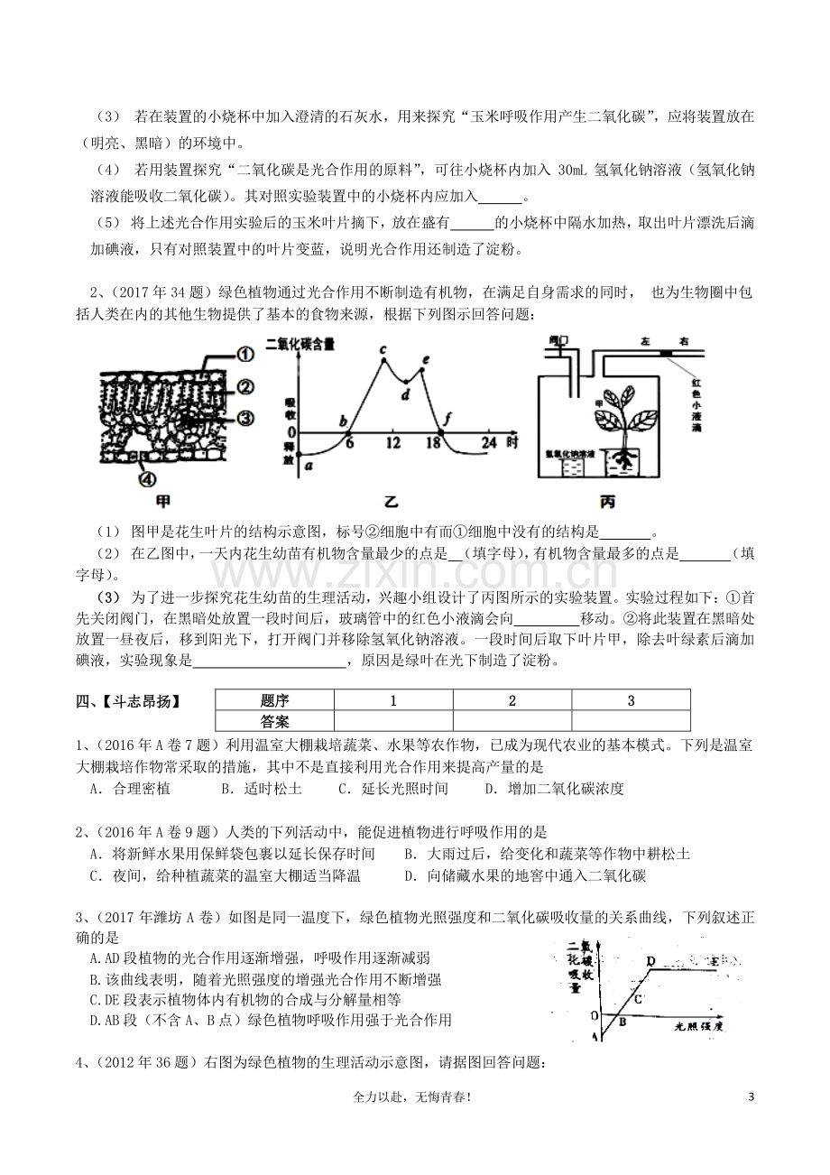 第五章　绿色植物与生物圈中的碳—氧平衡.docx_第3页