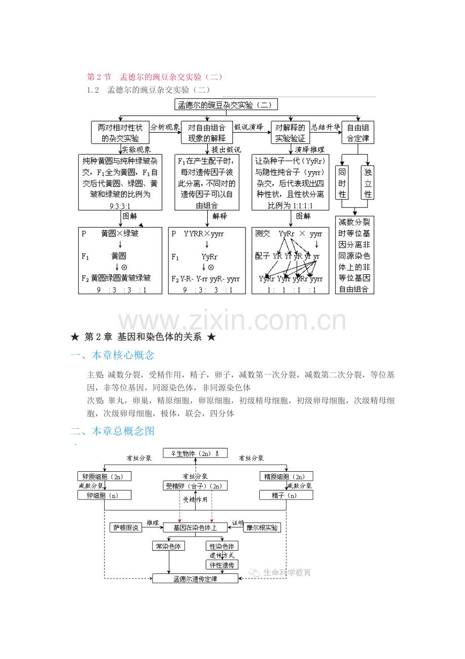 高中生物必修二第一、二两章概念图汇编.docx_第2页