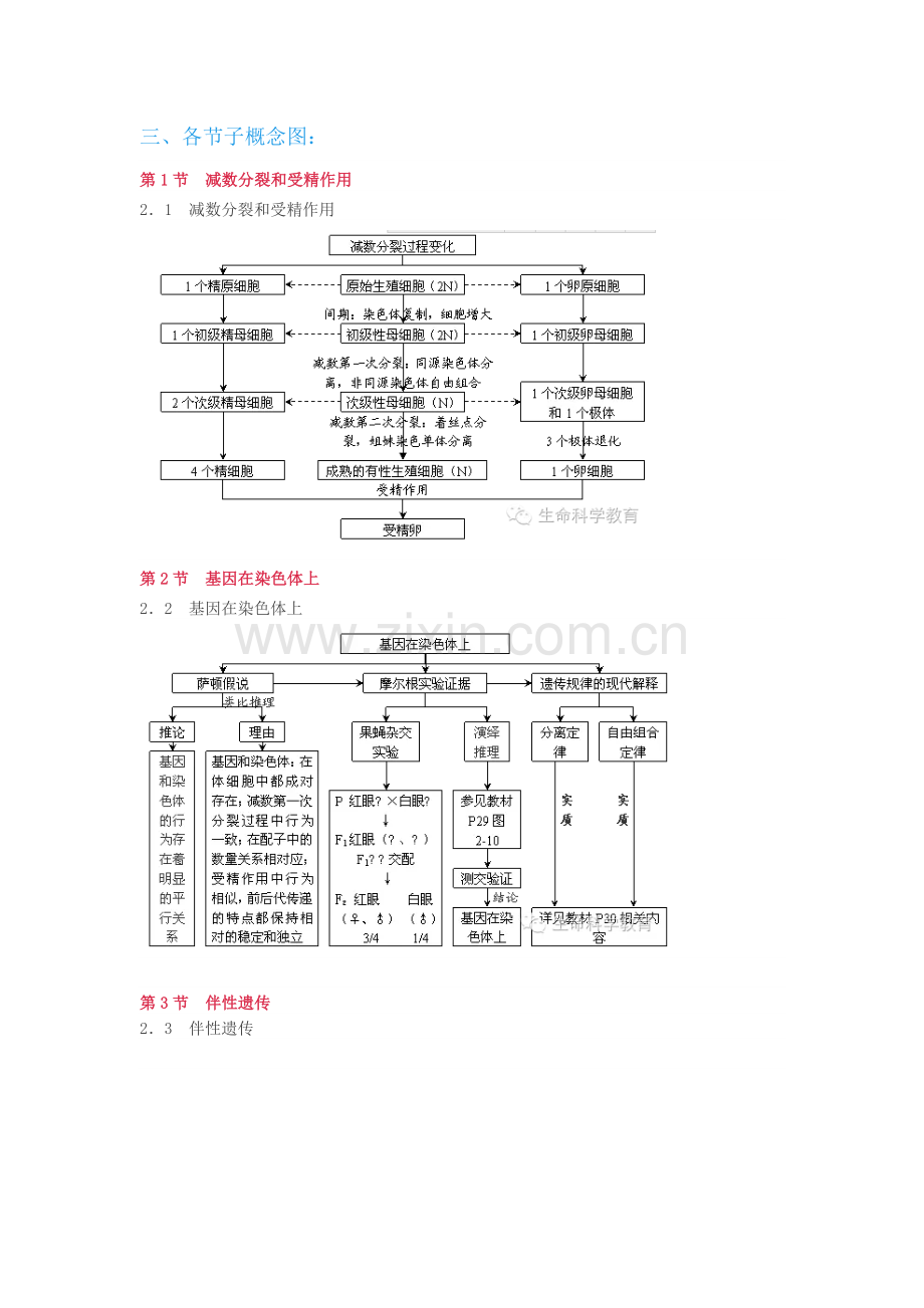 高中生物必修二第一、二两章概念图汇编.docx_第3页