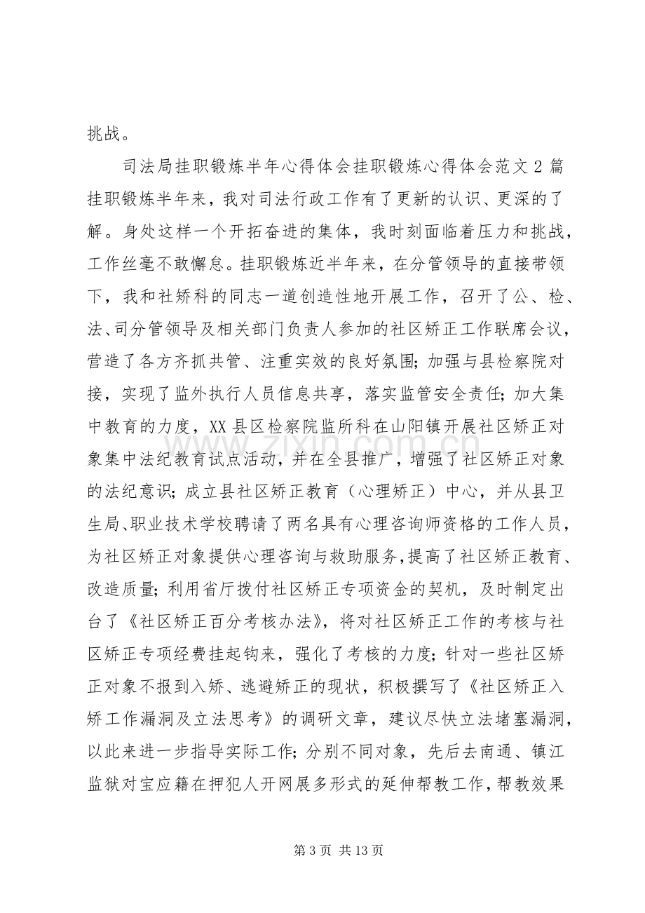 挂职锻炼体会心得3篇.docx_第3页