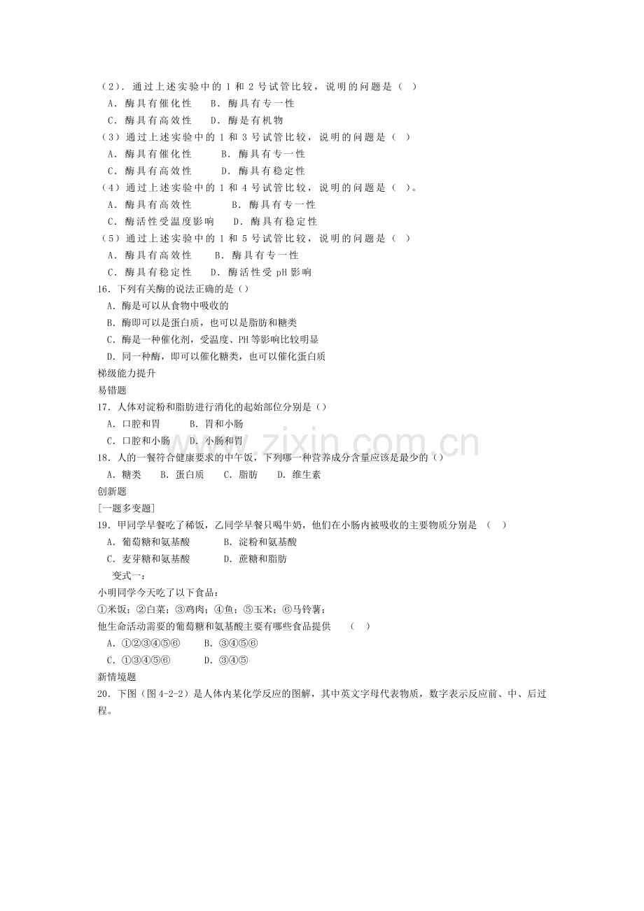 第77213号第二节食物的消化与吸收.doc_第3页