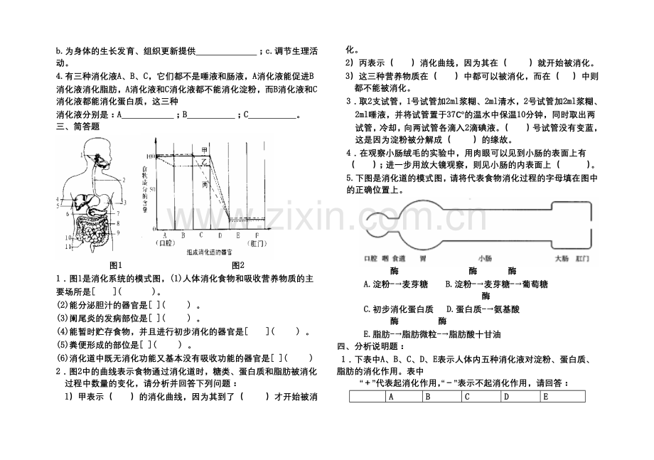 初一生物练习(下).doc_第3页