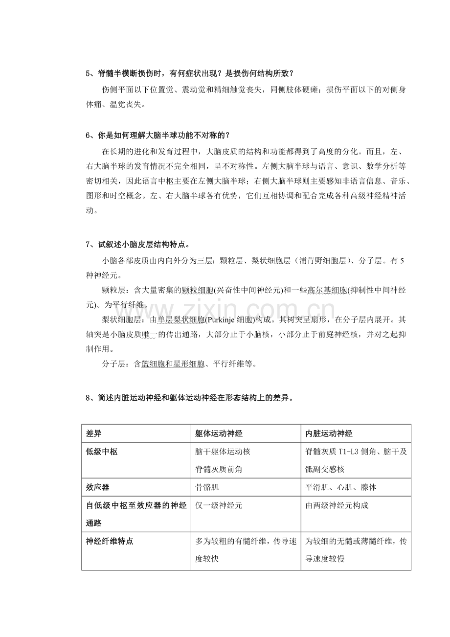 神经系统解剖学复习.docx_第3页