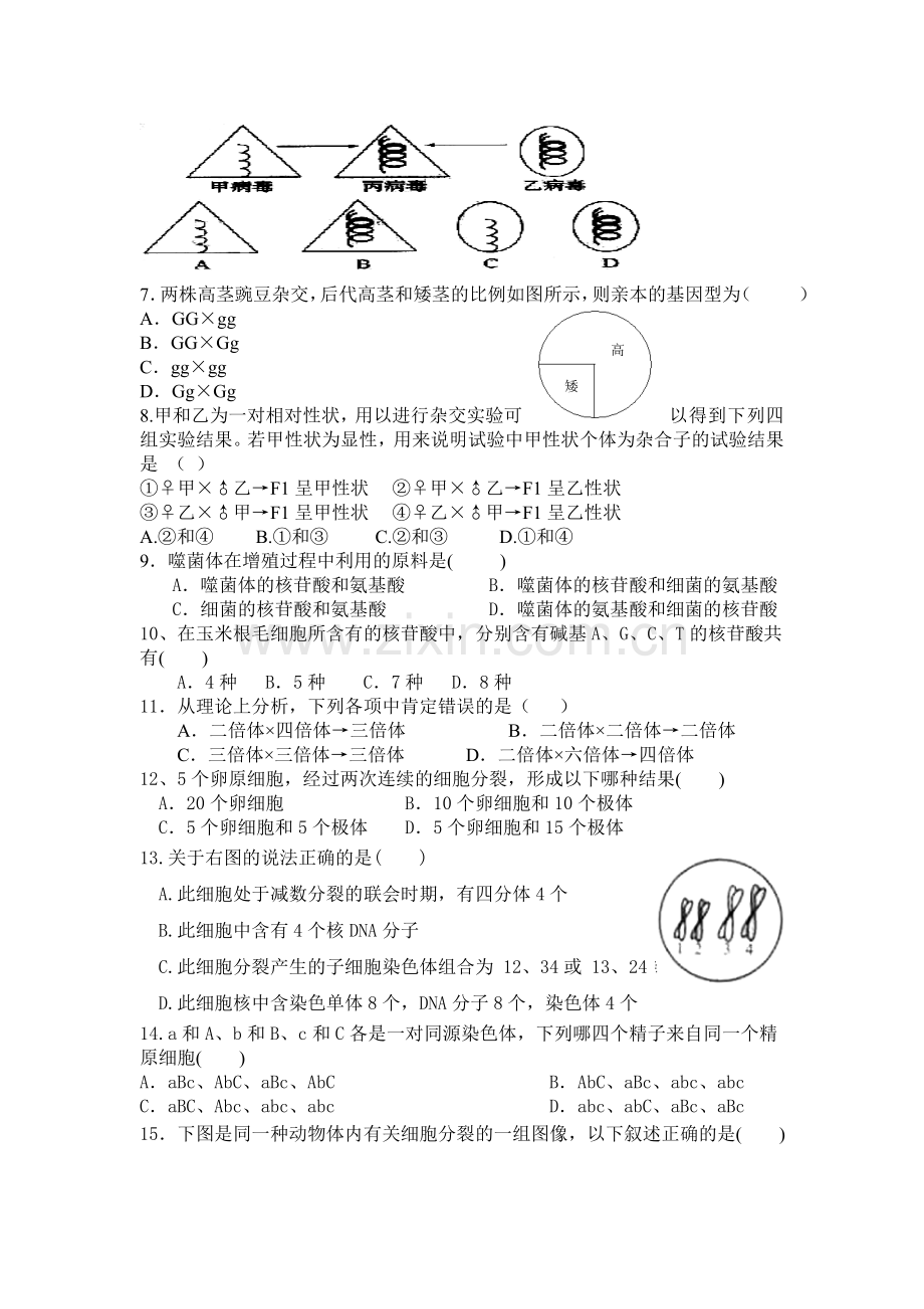 苏教版高中生物必修一期中测试卷.doc_第2页